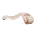 Aardlig DermaGlow mikronaald-roller met chirurgiese vlekvrye staalkoppe en ABS-plastiek handvatsel.